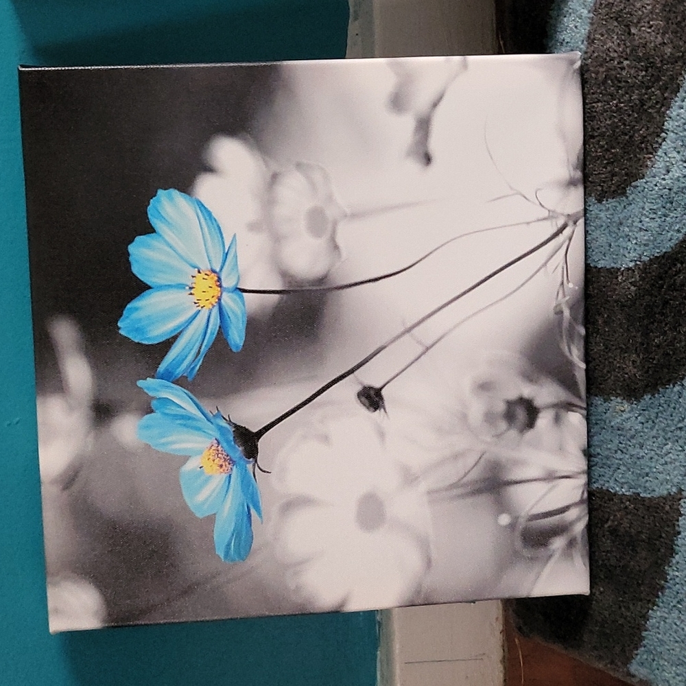One set of 4 pictures